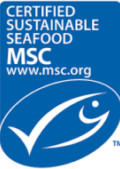 msc-logo-e1467053210230